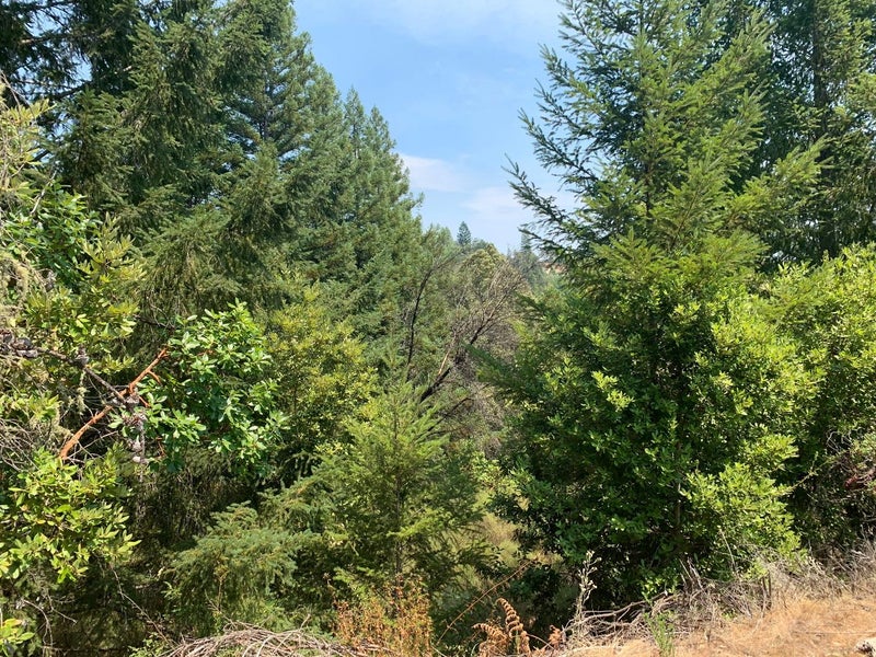 950 Middleton Drive