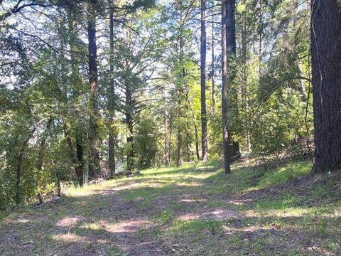 Tiny photo for 19179 Skyline Boulevard, LOS GATOS, CA 95033 (MLS # ML82054733)