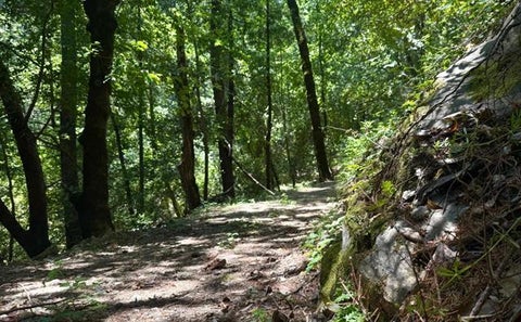 Tiny photo for 19179 Skyline Boulevard, LOS GATOS, CA 95033 (MLS # ML82054733)