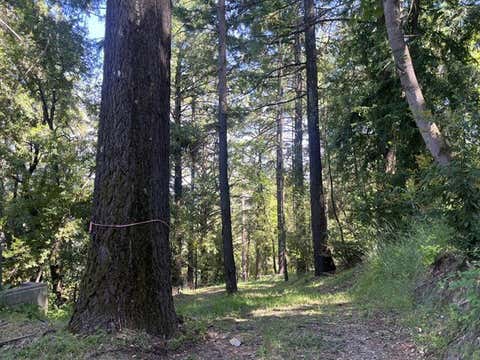 Tiny photo for 19179 Skyline Boulevard, LOS GATOS, CA 95033 (MLS # ML82054733)