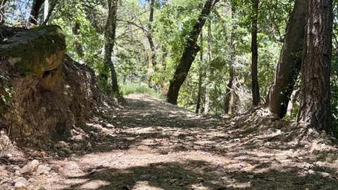 Tiny photo for 19179 Skyline Boulevard, LOS GATOS, CA 95033 (MLS # ML82054733)