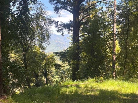 Tiny photo for 19179 Skyline Boulevard, LOS GATOS, CA 95033 (MLS # ML82054733)