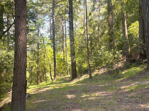 Tiny photo for 19179 Skyline Boulevard, LOS GATOS, CA 95033 (MLS # ML82054733)