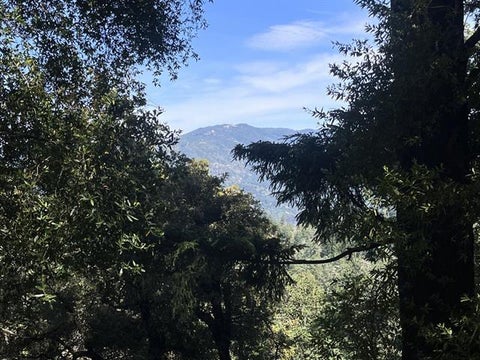 Tiny photo for 19179 Skyline Boulevard, LOS GATOS, CA 95033 (MLS # ML82054733)