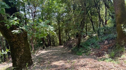 Tiny photo for 19179 Skyline Boulevard, LOS GATOS, CA 95033 (MLS # ML82054733)