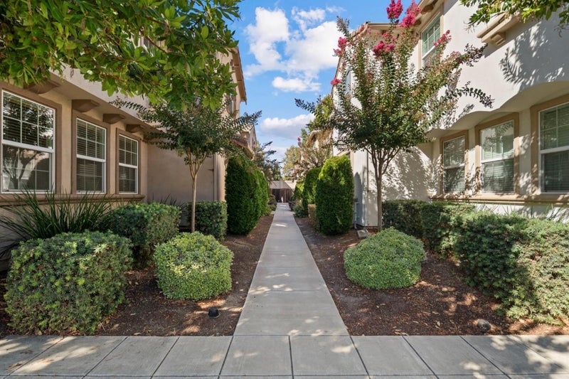 137 Lusitano Way