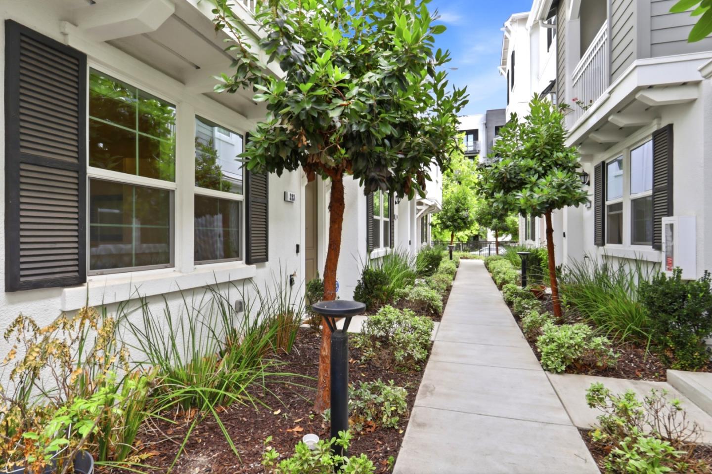 323 Wild Rose Way