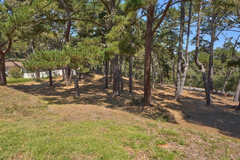 Featured picture for the property ML81956715