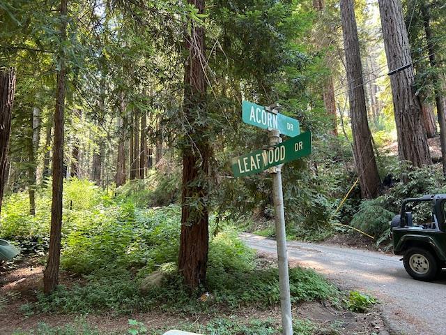 141 Leafwood Drive