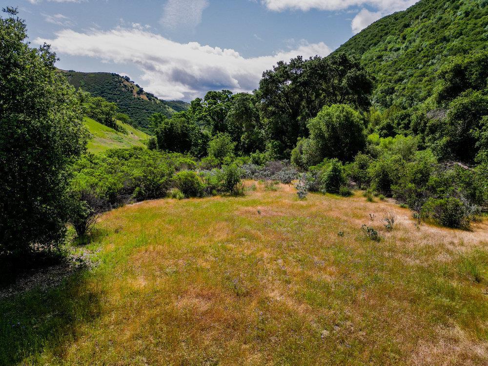 43575 Carmel Valley Road