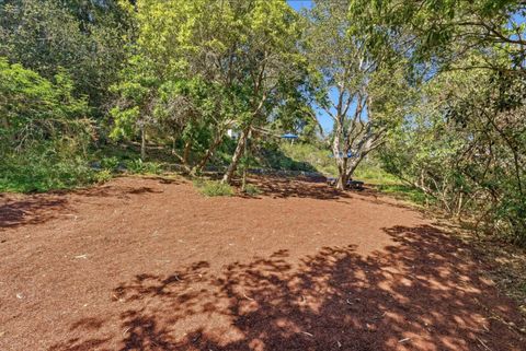 Tiny photo for 1520 Escalona Drive, SANTA CRUZ, CA 95060 (MLS # ML82029693)