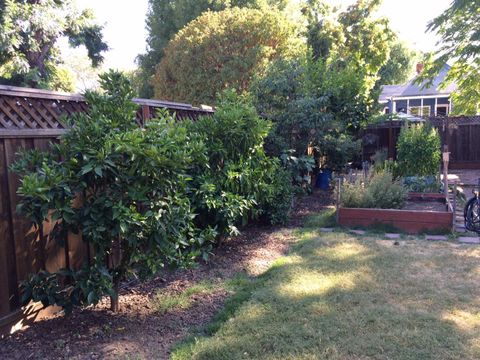 Tiny photo for 655 S 12th Street, SAN JOSE, CA 95112 (MLS # ML82029213)