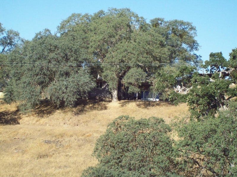 20077 Panoche