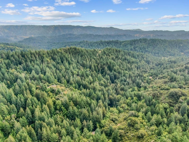 975 Logan Creek Road