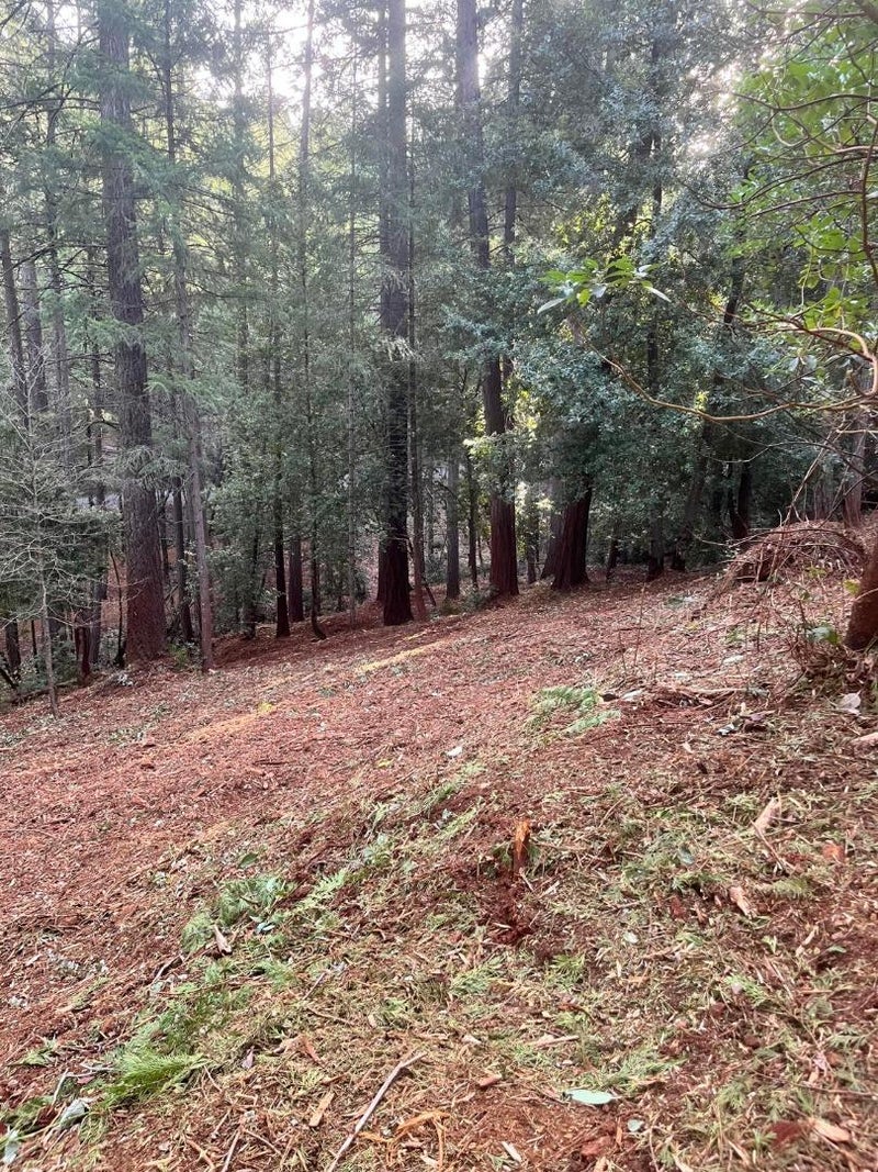 2531 Kittywake Lane