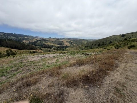 Tiny photo for 2851 Tunitas Creek Road, HALF MOON BAY, CA 94019 (MLS # ML82051817)