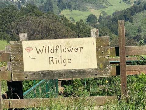 Photo of 2851 Tunitas Creek Road, HALF MOON BAY, CA 94019 (MLS # ML82051817)