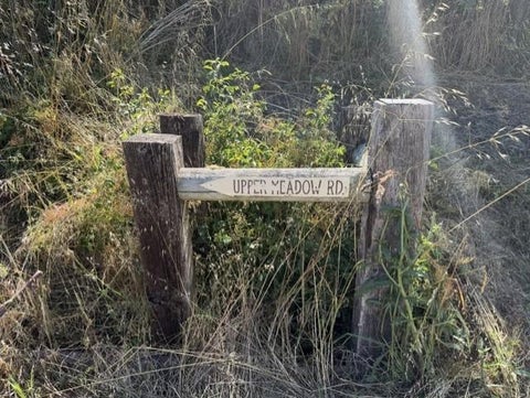 Tiny photo for 2851 Tunitas Creek Road, HALF MOON BAY, CA 94019 (MLS # ML82051817)