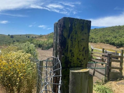 Tiny photo for 2851 Tunitas Creek Road, HALF MOON BAY, CA 94019 (MLS # ML82051817)