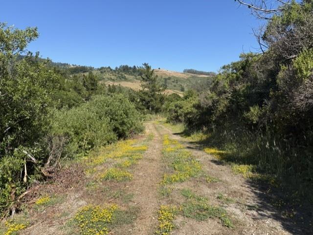 2851 Tunitas Creek Road