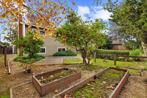 Tiny photo for 5231 Eileen Drive, SAN JOSE, CA 95129 (MLS # ML82028876)