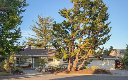 1929 Laver Court LOS ALTOS CA 94024