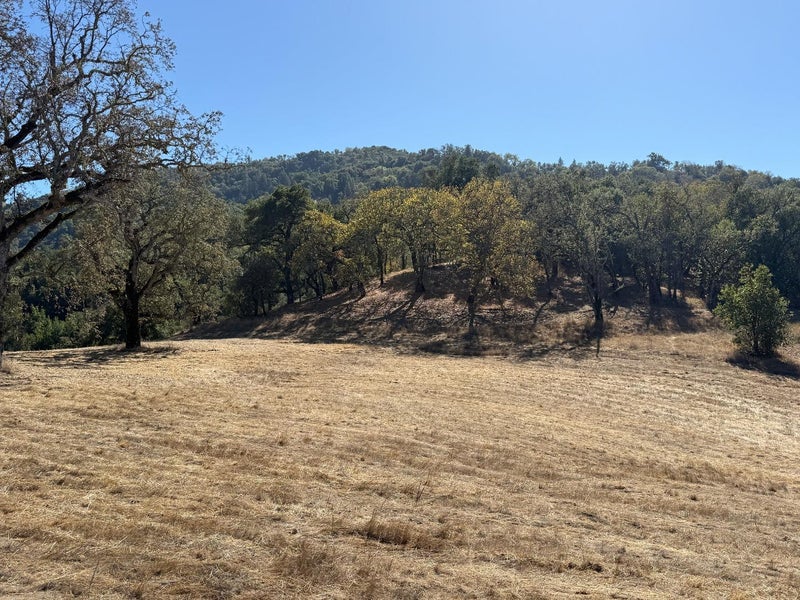 39 Arroyo Sequoia (Lot 114)