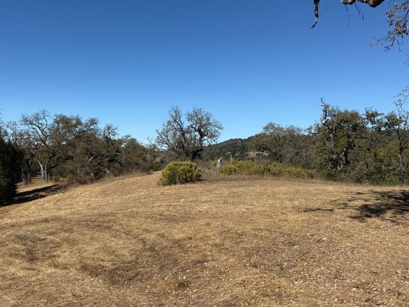 39 Arroyo Sequoia (Lot 114)