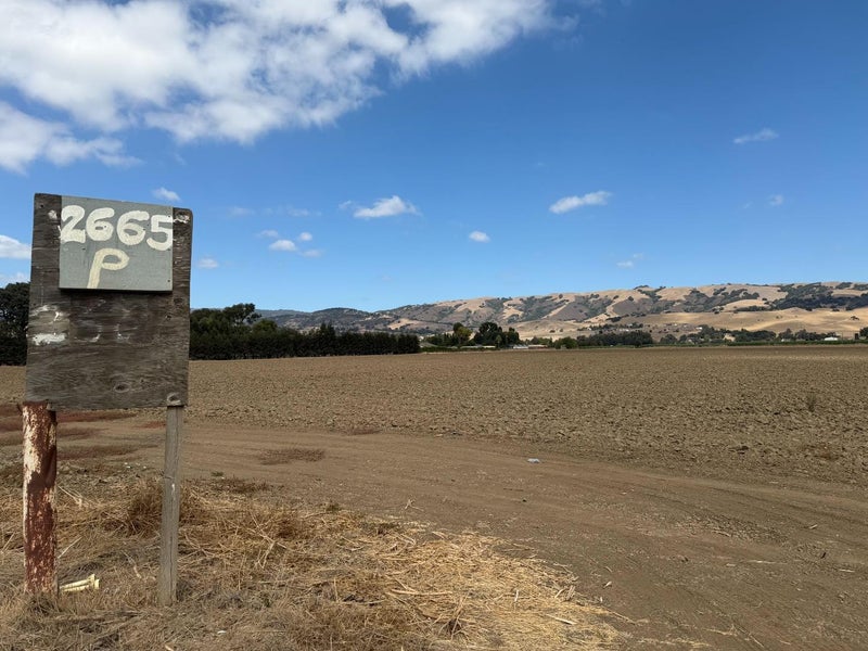 2665 Ferguson Road