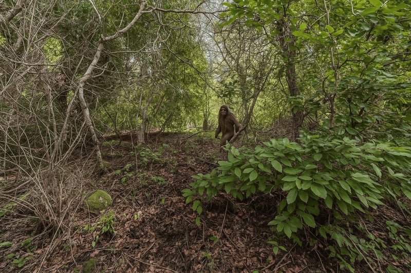 Lot 02 Lakeview Avenue