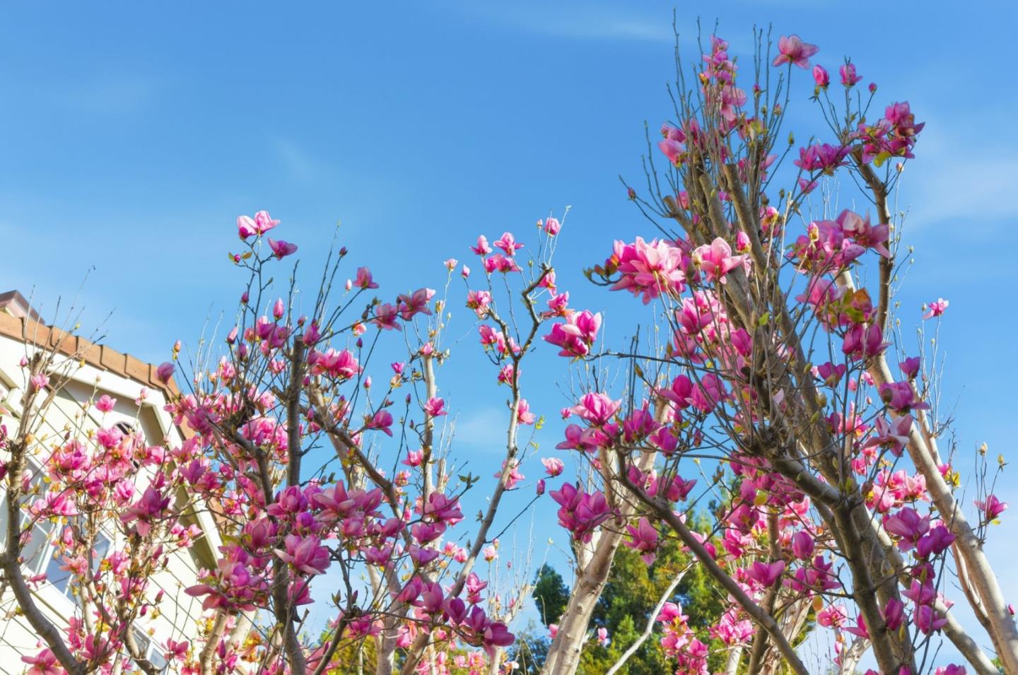 509 Porpoise Bay Terrace C