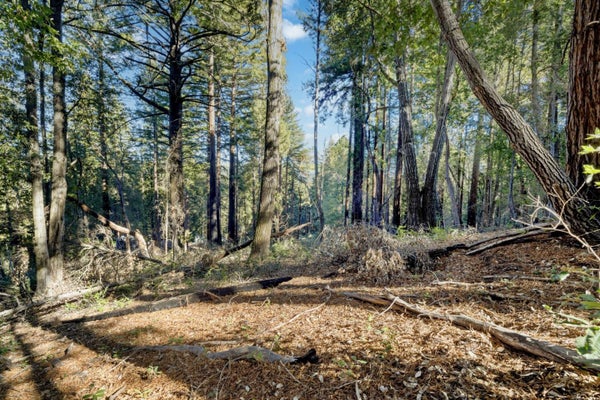 0 WESTERN, BROOKDALE, CA 95007 - Image 2d02c5a4e11d61625a674546065a4d21/3912501213