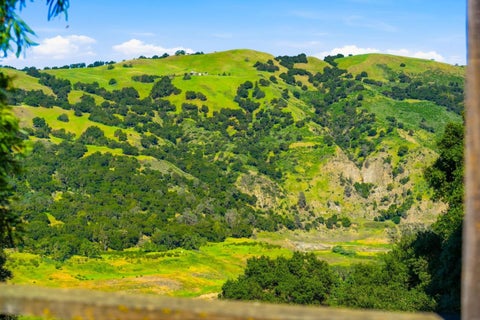 Tiny photo for 17109 Shady Lane Drive, Morgan Hill, CA 95037 (MLS # ML82038584)