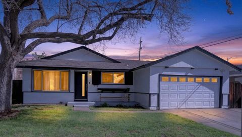 Photo of 1230 Fritzen Street, San Jose, CA 95122 (MLS # ML82034444)