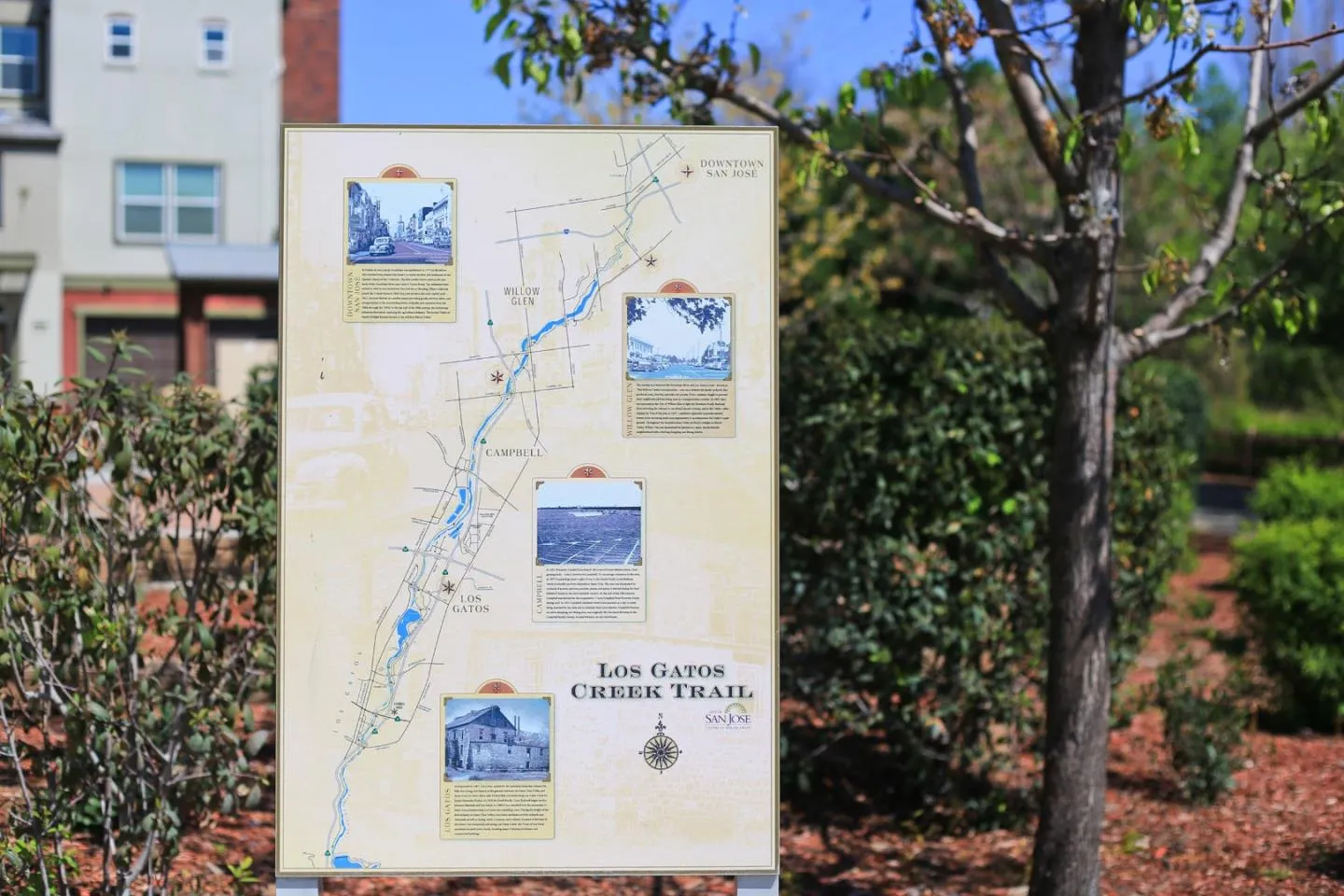 San Jose, California 95126, United States, 3 Bedrooms Bedrooms, ,2 BathroomsBathrooms,Residential,Contingent,114610