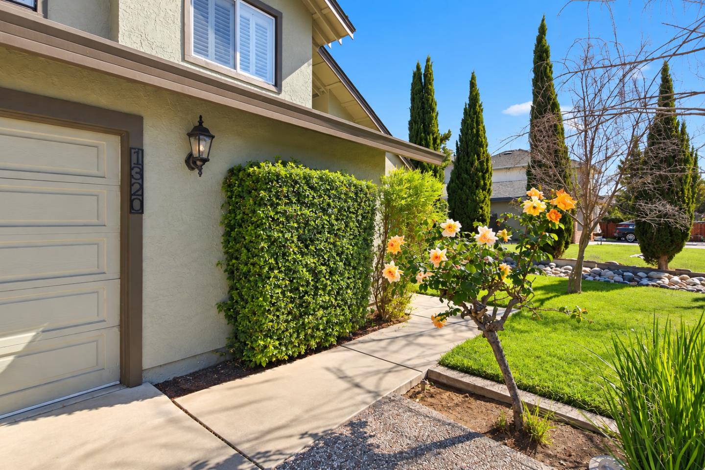1320 Terrace Drive