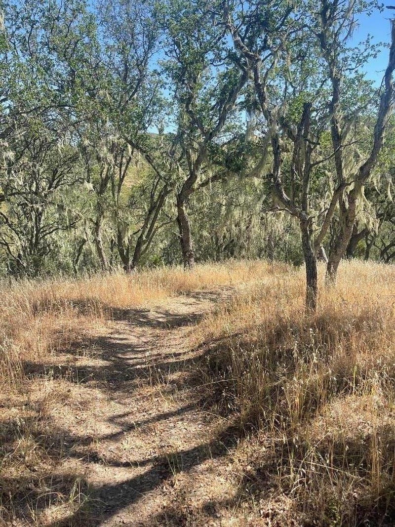 0 Cachagua Road