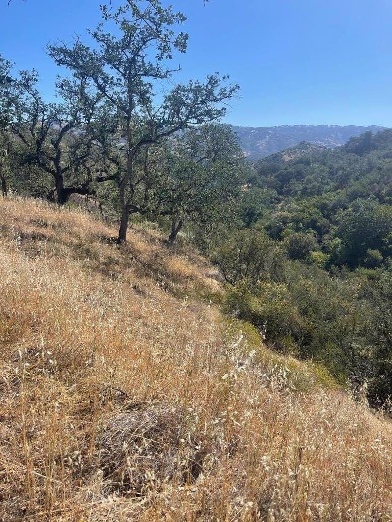 0 Cachagua Road