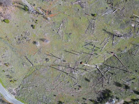 Tiny photo for MOUNTAIN RANCH, CA 95246 (MLS # ML82041739)