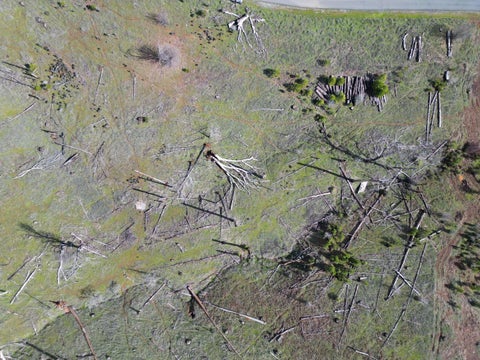Tiny photo for MOUNTAIN RANCH, CA 95246 (MLS # ML82041739)