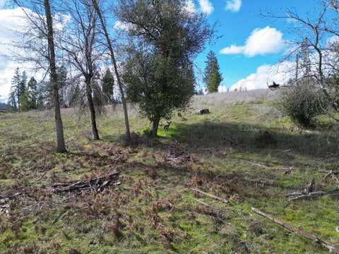Tiny photo for MOUNTAIN RANCH, CA 95246 (MLS # ML82041739)