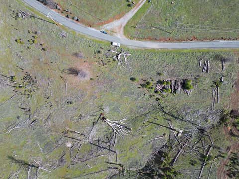 Tiny photo for MOUNTAIN RANCH, CA 95246 (MLS # ML82041739)