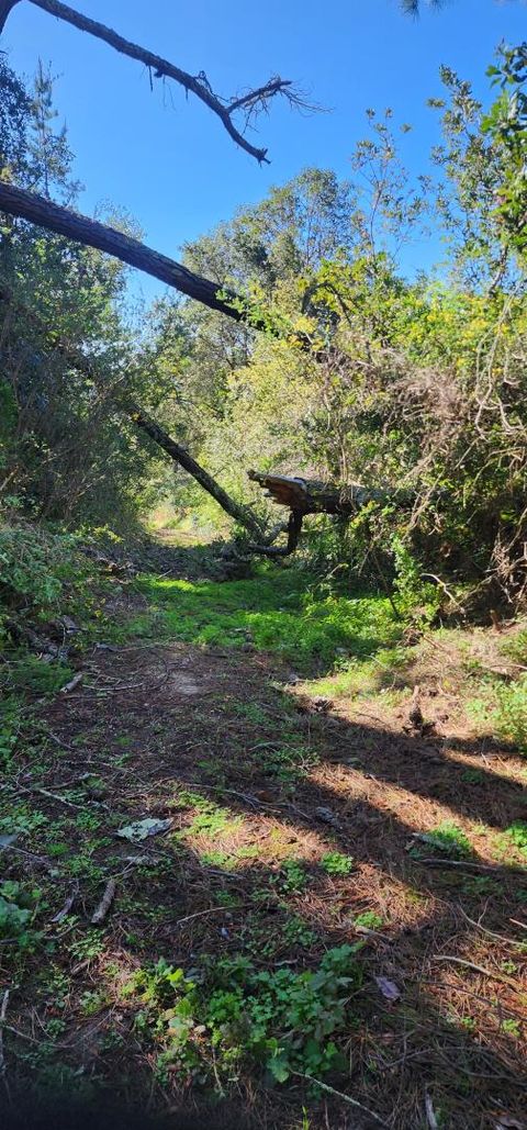 Tiny photo for WATSONVILLE, CA 95076 (MLS # ML82040781)