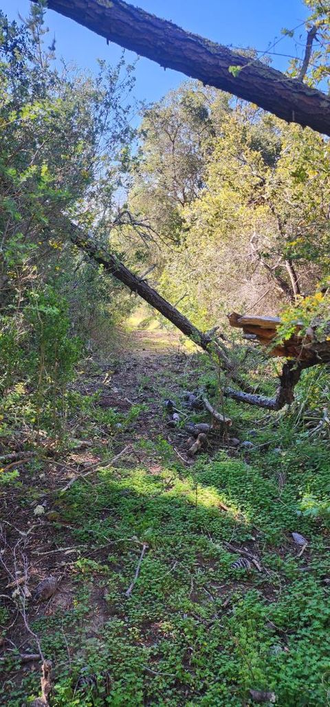 Tiny photo for WATSONVILLE, CA 95076 (MLS # ML82040781)