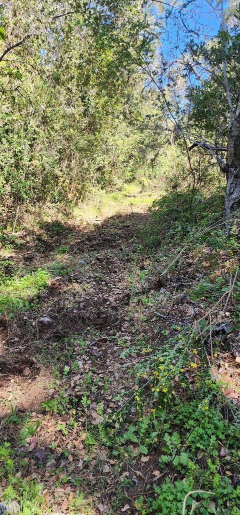 Tiny photo for WATSONVILLE, CA 95076 (MLS # ML82040781)