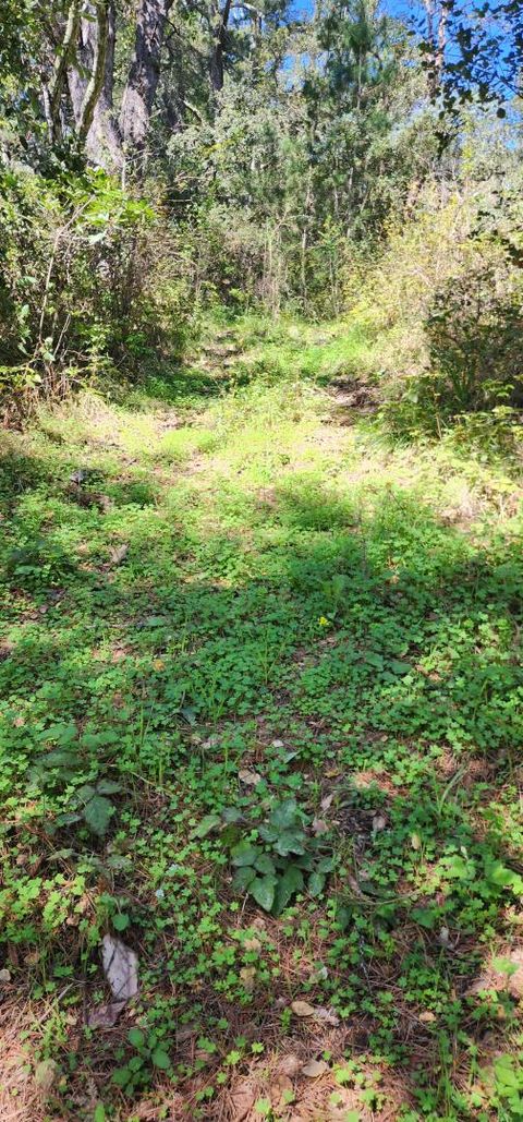 Tiny photo for WATSONVILLE, CA 95076 (MLS # ML82040781)