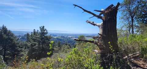 Tiny photo for WATSONVILLE, CA 95076 (MLS # ML82040781)