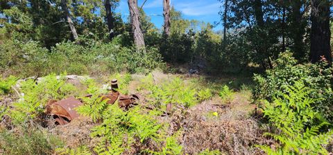 Tiny photo for WATSONVILLE, CA 95076 (MLS # ML82040781)