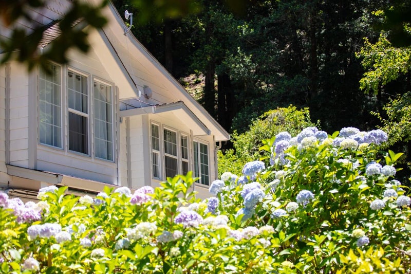 1003 Laurel Glen