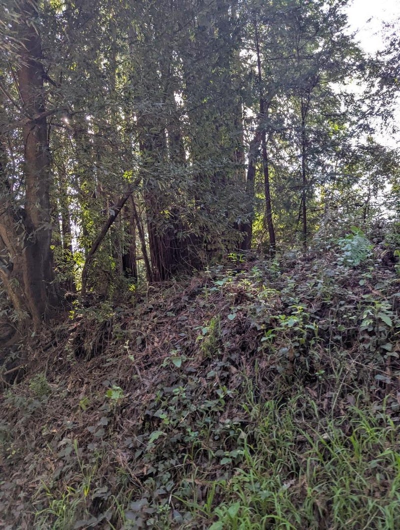 8055 Glen Haven Road